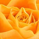 LadySun